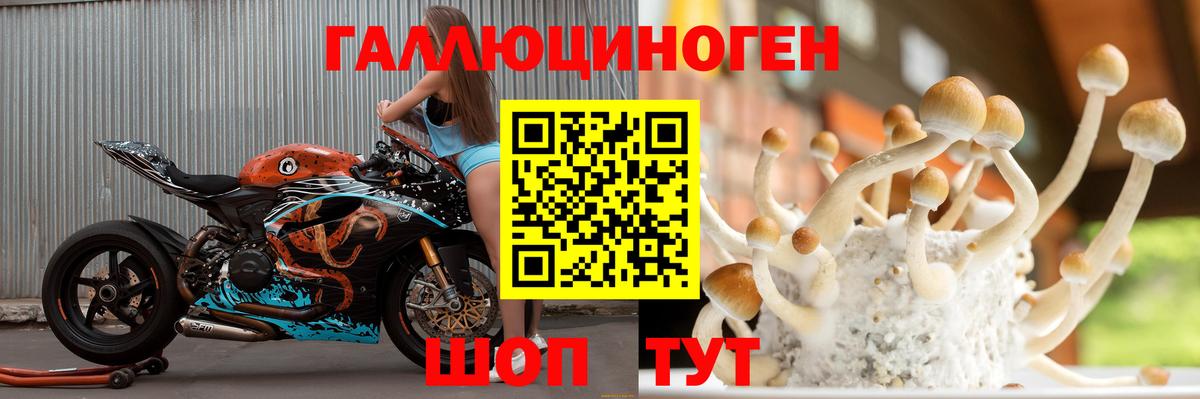 Псилоцибиновые грибы MAGIC MUSHROOMS Карпинск